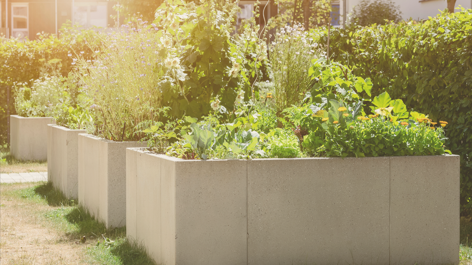 DIY Naturstein-Hochbeet: robust, langlebig, schön
